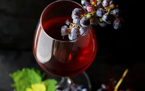Kieliszek czerwonego wina z winogronami. Czy alkohol jest zdrowy? To pytanie, na które odpowiedź nie jest prosta.