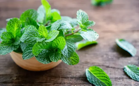Świeża mięta w drewnianej miseczce, idealna jako wsparcie dla **ziół na odchudzanie**. Jej orzeźwiający aromat pobudza i dodaje energii.