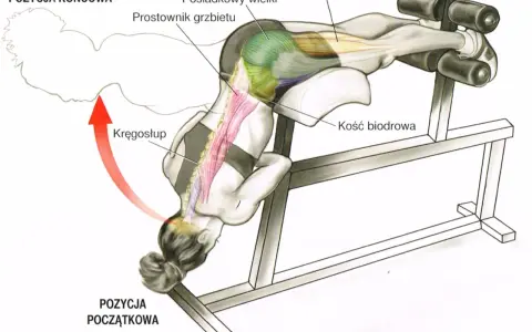 Ćwiczenie na ławce rzymskiej angażujące pośladki i prostownik grzbietu.