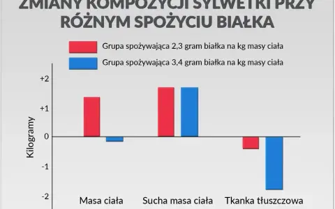 Wykres pokazuje, ile białka dziennie przy treningu wpływa na masę ciała, suchą masę i tkankę tłuszczową. Grupa 2,3g/kg zyskała masę, a grupa 3,4g/kg straciła tkankę tłuszczową.