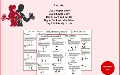 Plan treningowy siłownia 5-dniowy: Dzień 1: Górna część ciała, Dzień 2: Dolna część ciała, Dzień 3: Core i cardio, Dzień 4: Plecy i barki, Dzień 5: Pełne ciało.