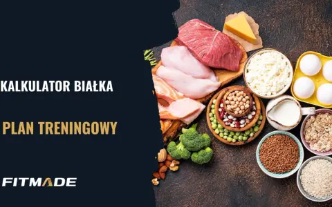 Kalkulator białka i plan treningowy. Różnorodne źródła białka: mięso, ryby, jajka, nabiał, rośliny strączkowe, płatki owsiane, ryż i kasza.