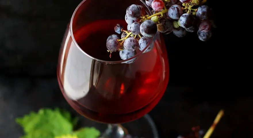 Kieliszek czerwonego wina z winogronami. Czy alkohol jest zdrowy? To pytanie, na które odpowiedź nie jest prosta.
