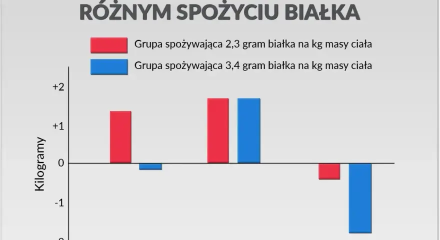 Wykres pokazuje, ile białka dziennie przy treningu wpływa na masę ciała, suchą masę i tkankę tłuszczową. Grupa 2,3g/kg zyskała masę, a grupa 3,4g/kg straciła tkankę tłuszczową.