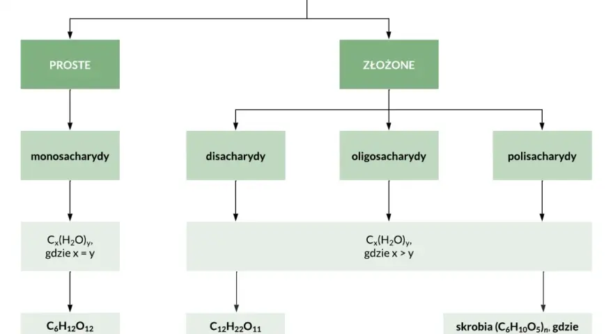 Schemat podziału węglowodanów na cukry proste i złożone: monosacharydy, disacharydy, oligosacharydy, polisacharydy.